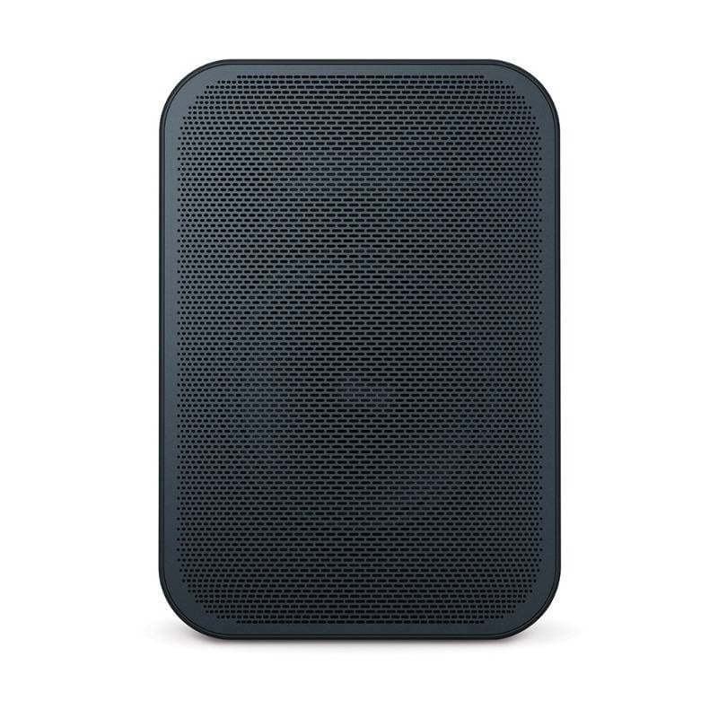 Bluesound PULSE FLEX 2i Portable Wireless Speaker