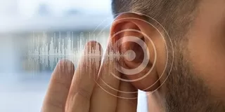 Commercial Audio Maintenance Rendos