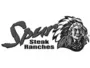 Commercial Audio Installations Rendos Spur